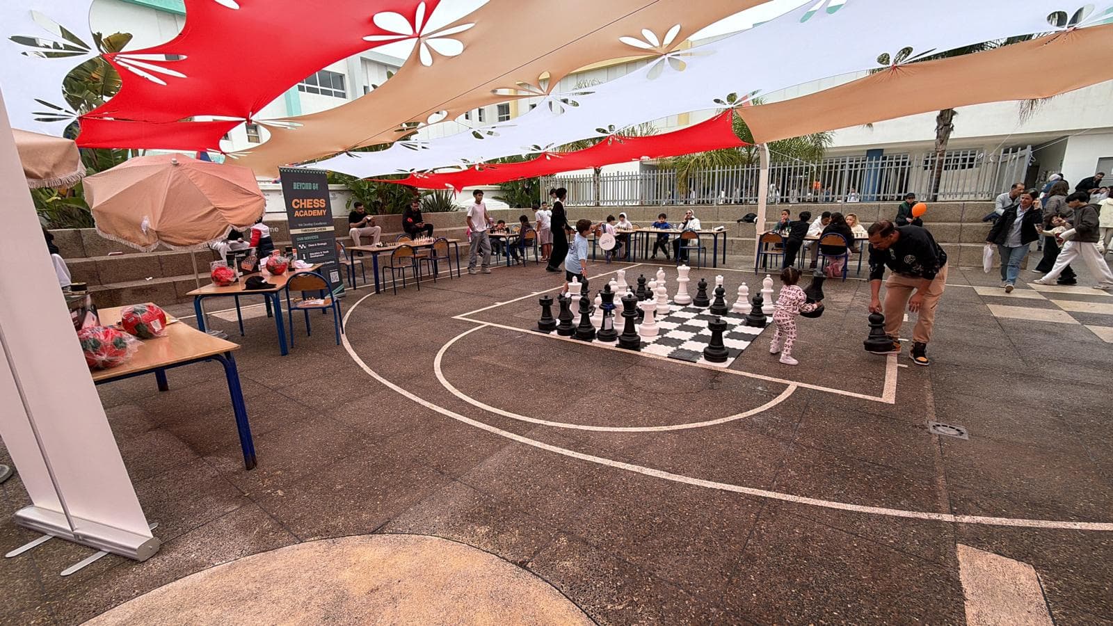 Interactive Chess Animation